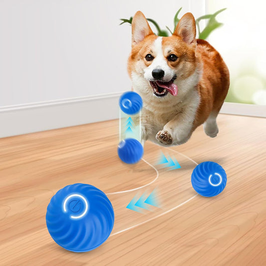 🐶PELOTA INTERACTIVA PARA MASCOTAS 🐱🥎